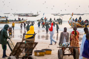 Noakchott fish market Mauritania